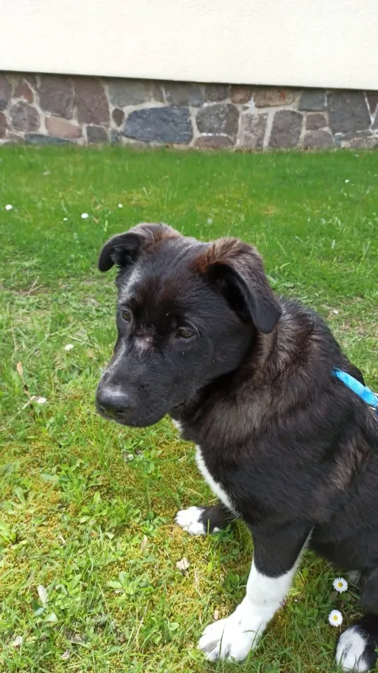 Zoe sucht ihren Herzensmensch