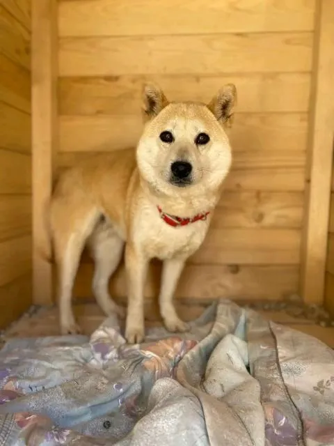 Akemi - schüchtern, neugierig